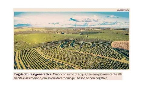 3-Jan-27-2026-03-43-32-4895-PM